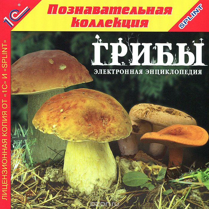 1С: Познавательная коллекция. Грибы