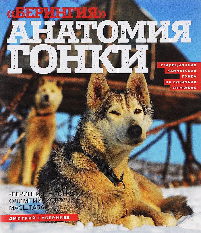 "Берингия". Анатомия гонки