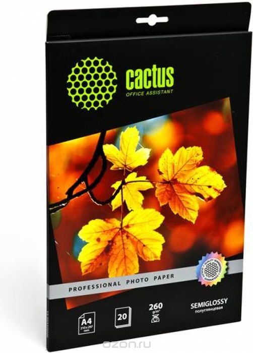 Cactus Prof CS-SGA426020 A4/260/2      (20 )