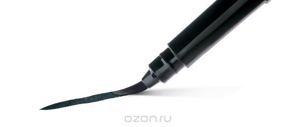 Pentel -   Brush Pen    + 4 