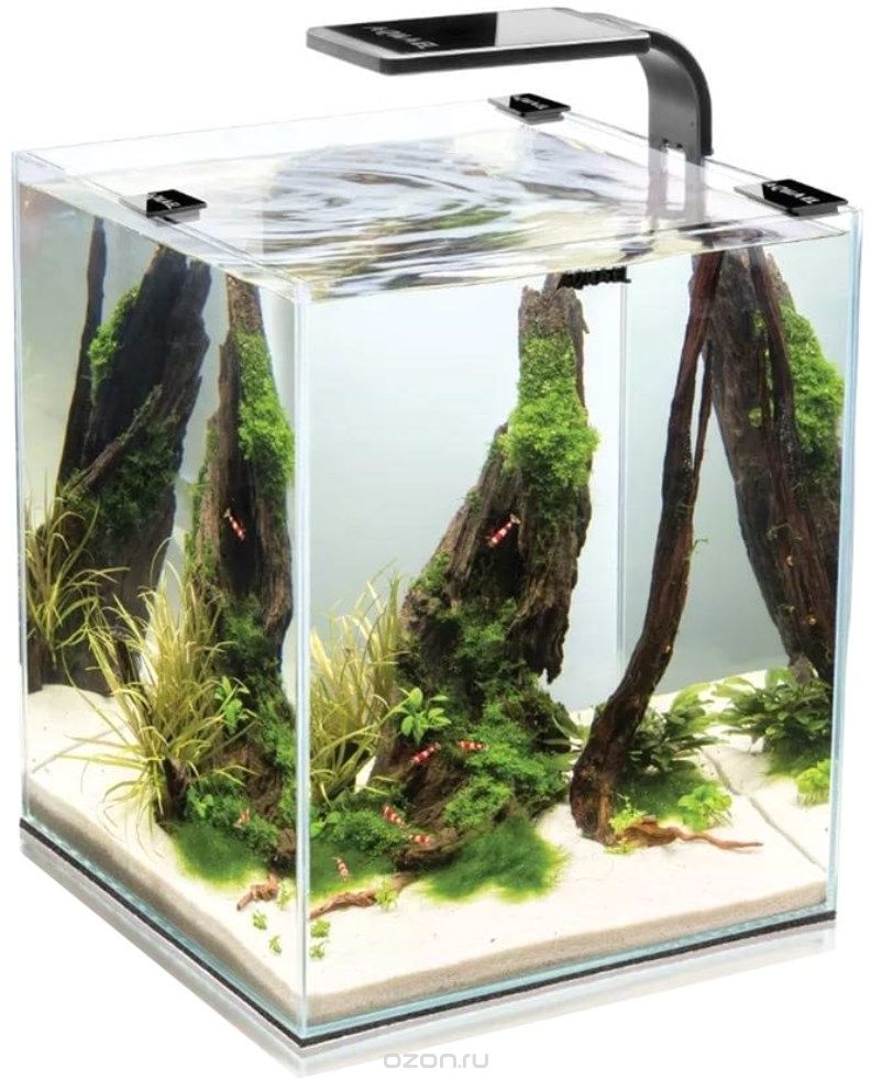 Aквариум Aquael "Shrimp Set Smart Led Plant Ll 10", с освещением, цвет: черный, 10 л