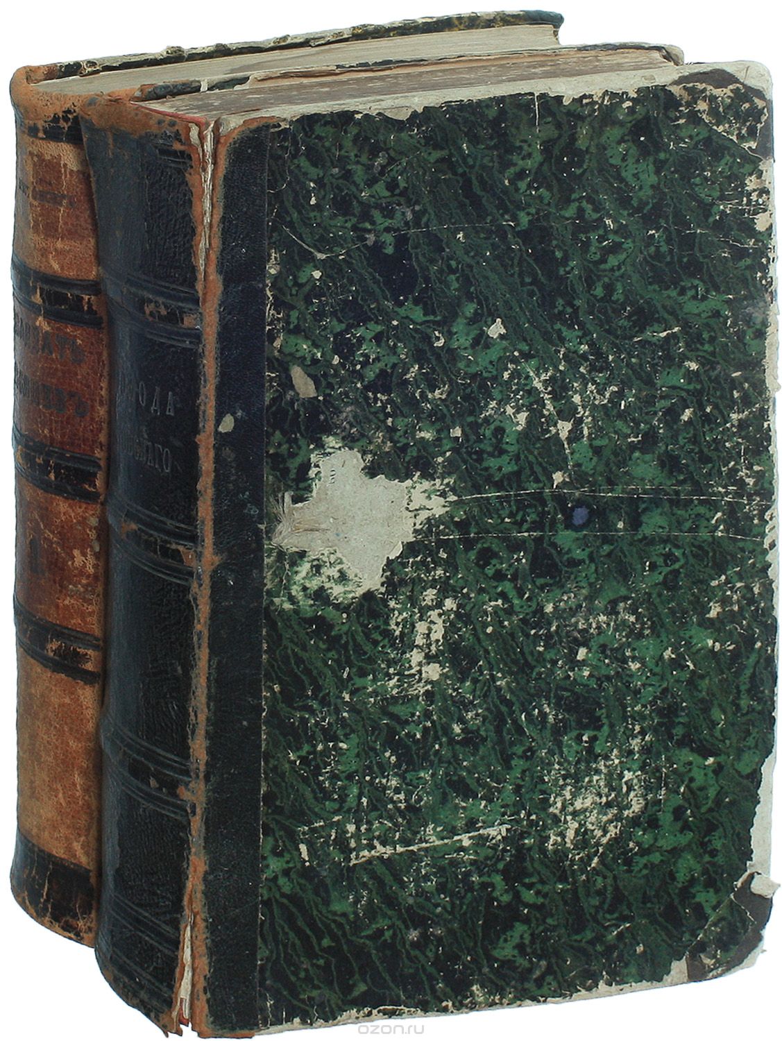Двадцать месяцев в действующей армии. 1877-1878 гг. (комплект из 2 книг)
