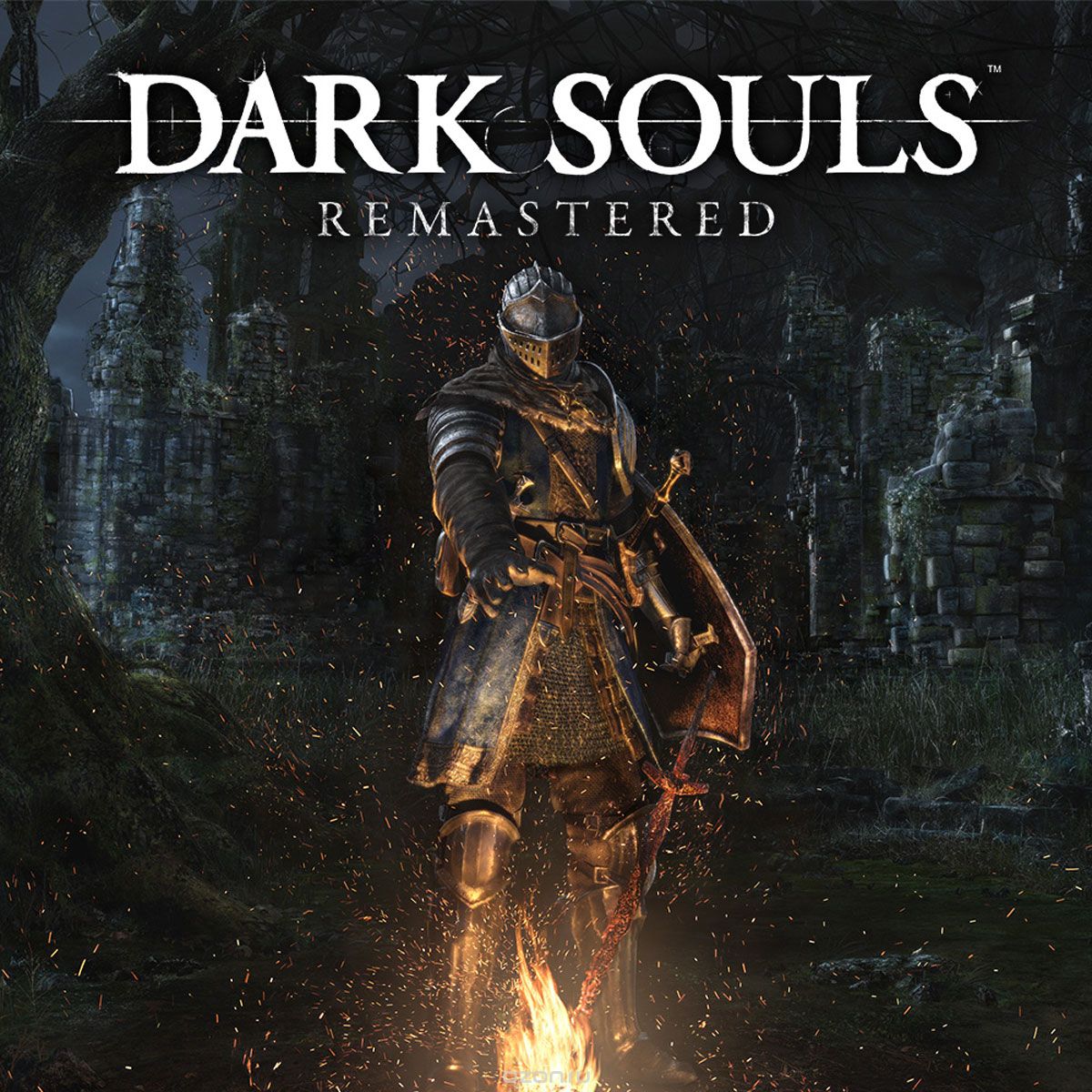 Dark Souls: Remastered (Nintendo Switch)